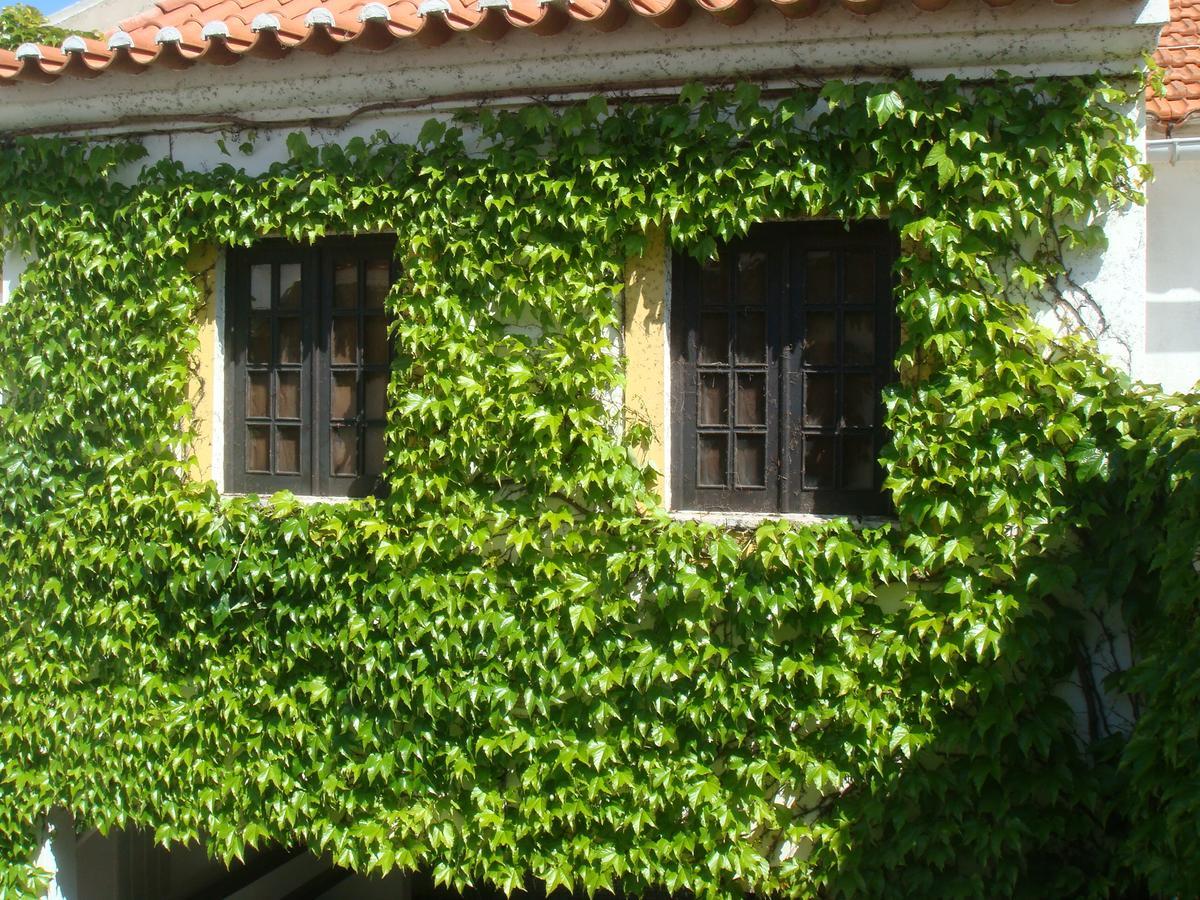 Travelers By Rio Natural Vila Nova de Milfontes Exteriör bild